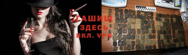 apvp Алзамай