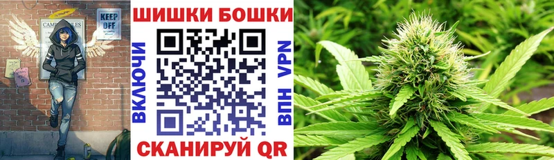 Бошки Шишки MAZAR  Пошехонье 